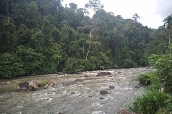 Akhir pekan, sejumlah tim arung jeram beraksi di Sungai Batang Merangin