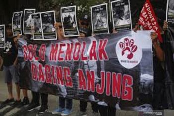 Kementan ingatkan masyarakat bahaya mengonsumsi daging anjing