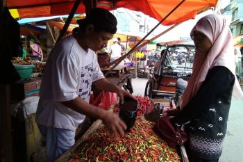 Harga cabai rawit  di Makassar naik dua kali lipat