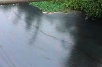 Sungai Way Sekampung di Lampung Timur kembali tercemar limbah