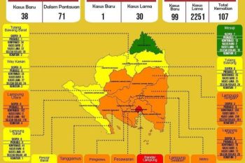 Bertambah 99, positif COVID-19 di Lampung menjadi 2.350 kasus