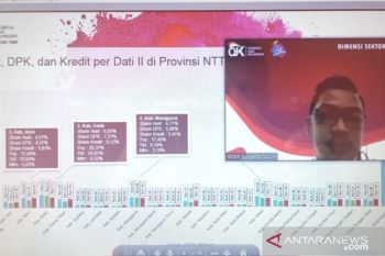 Penyaluran kredit konsumsi  NTT capai Rp20,36 triliun