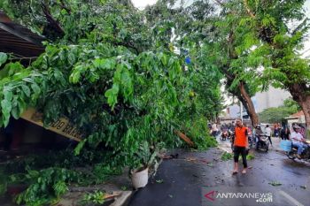 BMKG: Jawa Tengah bagian selatan sudah masuki masa pancaroba