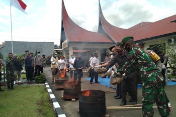 Kepolisian Resor  Limapuluh Kota musnahkan 134 kilogram ganja
