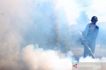 Dinkes Pinrang catat 41 kasus DBD sejak Januari-Oktober 2020