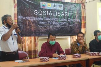 Mitra Bentala sosialisasikan perlindungan kawasan hutan mangrove