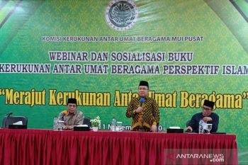 MUI sosialisasi masalah kerukunan antar umat beragama