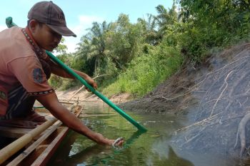 Walhi Lampung: Pencemaran di Sungai Way Sekampung kejahatan lingkungan serius