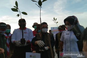 Wamen LHK sebut realisasi padat karya penanaman mangrove capai 65 persen