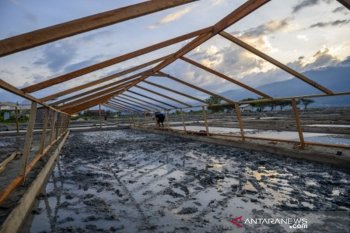 Pertambakan garam sistem tunel di Talise Palu
