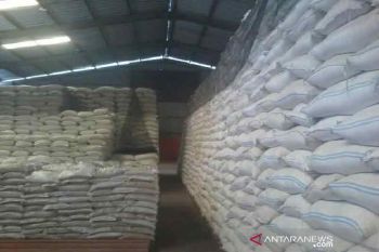 Bulog Sulteng  lakukan pengadaan beras di tengah panen berkurang