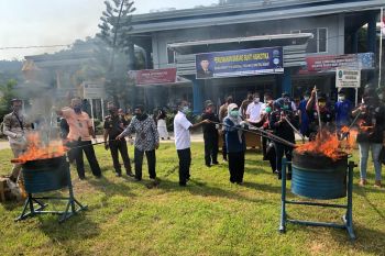 BNNP Sumbar musnahkan barang bukti ganja kering seberat 53,1 kilogram