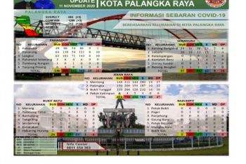 Tingkat kematian pasien COVID-19 di Palangka Raya capai 5,55 persen