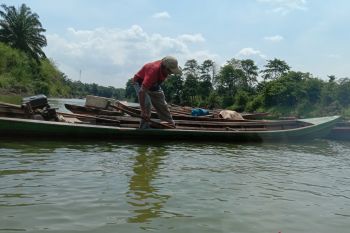 Ikan asli penghuni Way Sekampung  kini tidak ada lagi