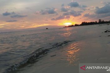 Menilik limpahan SDA perikanan di Laut Arafura jadi target investasi
