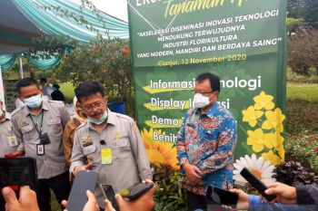 Kementan pacu inovasi varietas unggul tanaman hias