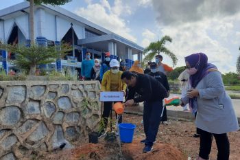 Kepri upayakan penanaman 1 miliar pohon kelapa