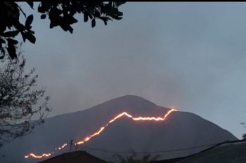 Bukit Anak Dara terbakar