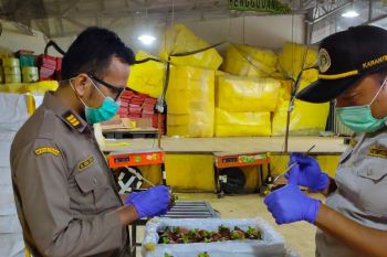 Di tengah pandemi ekspor komoditas pertanian Sumbar malah naik signifikan