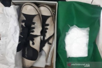 Banyak kasus narkotika gunakan jasa pengiriman daring