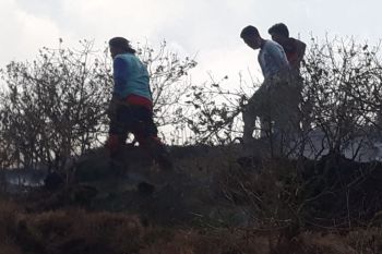 Si jago merah di Bukit Anak Dara Sembalun akhirnya bisa dipadamkan (Video)