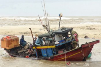 Korban tewas topan Kajiki di Vietnam bertambah jadi tujuh orang