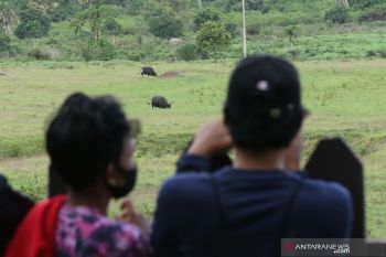 Pemkab Banyuwangi dan TN Alas Purwo kolaborasi kembangkan pariwisata berkelanjutan