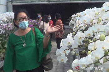 300 jenis bunga tampil di agrowisata anggrek Denpasar