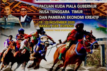 Pemprov NTT gelar lomba pacuan kuda pada 19-22 November 2020