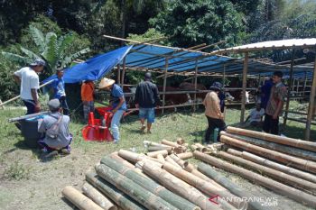 DP3 Sleman telah mengungsikan 139 ternak warga lereng Merapi