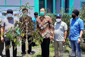 BRI berdayakan ekonomi masyarakat Banyumas melalui budi daya durian