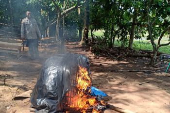 Polisi gerebek lokasi judi sabung ayam
