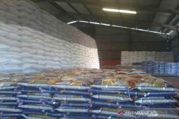 Pemprov Sulteng  salurkan bantuan beras masyarakat rawan pangan di Palu