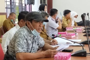 DPRD minta RAPBD Kota Palu 2021 dirasionalisasi