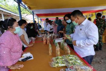 Dinas Pangan Sulteng promosi penganekaragaman konsumsi pangan  di Morut