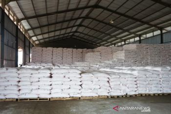 Parimo dapat jatah 3.250 ton pupuk kakao dari perusahaan mitra