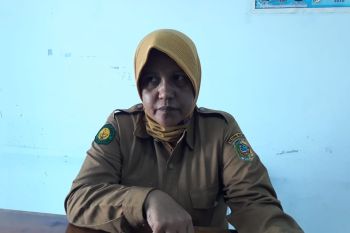 Pemerintah bantu 86 hektare peremajaan kakao di Parimo