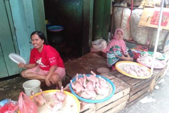 Harga sembako dan sayur mayur di  OKU melonjak