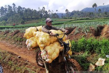 Geliat pembangunan infrastruktur di tengah pandemi COVID-19