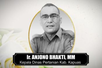 Kadis Pertanian Kapuas tutup usia
