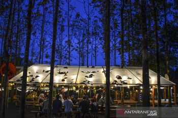 Wisata Jati Sewu Cibungbang dikelola Bumdes