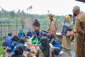 Pemkot Mataram menggelar simulasi pelayanan dapur umum di huntara nelayan