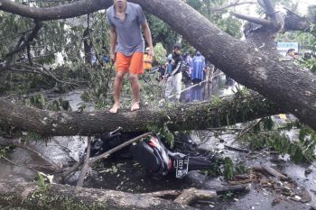 Warga Dasan Agung Mataram meninggal setelah motornya tertimpa pohon tumbang di Loteng