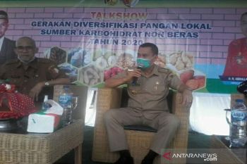 Sigi  komitmen laksanaklan program gerakan diversifikasi pangan lokal