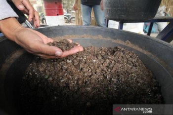 PLN NTB terus kembangkan pengolahan sampah menjadi energi