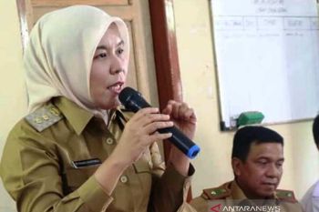 Pemkot Palembang kembangkan  "sejuta" biopori atasi banjir