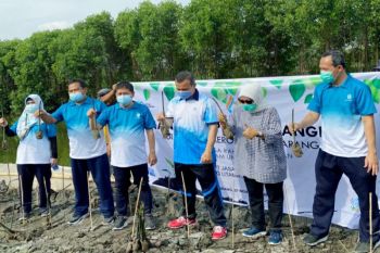 Tanam Mangrove, Jasa Raharja ikut ambil peran Hijaukan Negeri