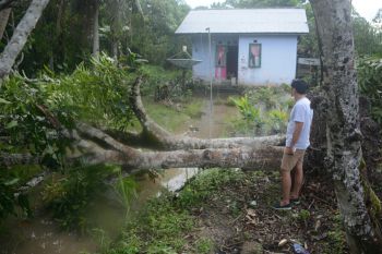 Foto-foto keganasan angin puting beliung kemarin di Bulungan