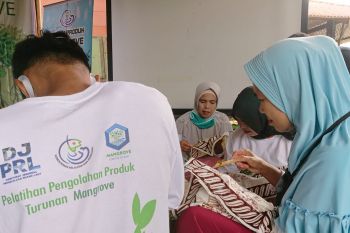 Warga Mandeh membatik gunakan warna dari bahan olahan mangrove