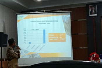 1.708,04 hektare lahan pertanian di Kulon Progo diasuransikan